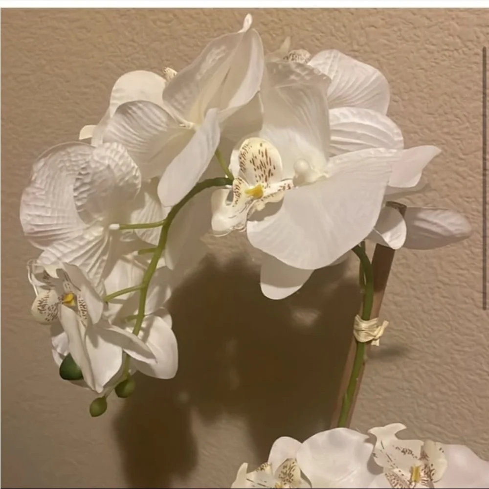 NWOT artificial white orchid in Ribbed Pot - Picture 3 of 7